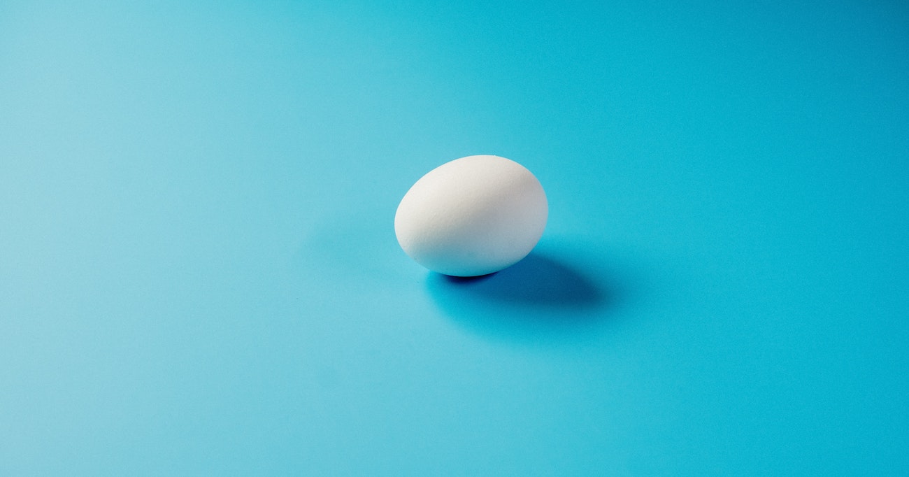 egg