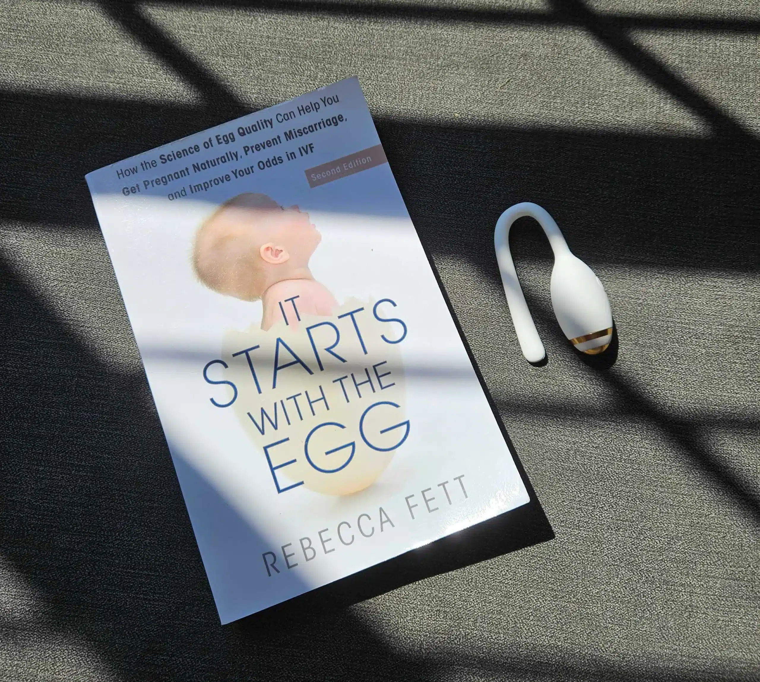 it starts with egg